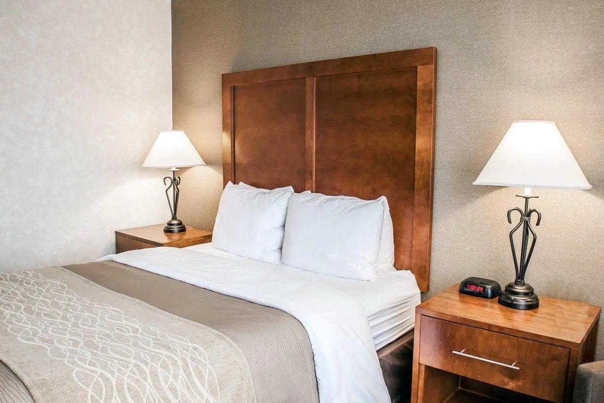 Guest Room 3